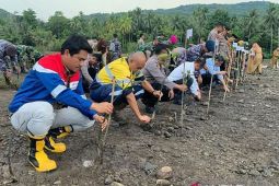 Pertamina dan Pemkab Bone Bolango kerja sama tangani abrasi