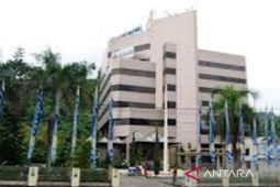 Bank Papua salurkan kredit UMK Rp376 miliar