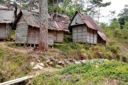 Masyarakat adat Kaolotan yang tetap berkelimpahan pangan