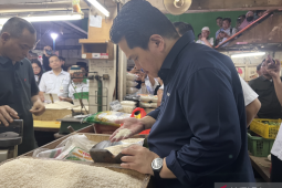 Menteri BUMN pastikan stok beras Perum Bulog aman