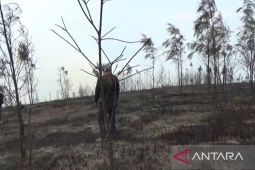 Super Puma 25 kali "water bombing" atasi karhutla di Gunung Lawu