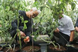 Duta Petani Millenial kagumi Ganjar wujudkan ketahanan pangan