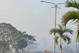 BPBD bagikan 10.000 masker ke sekolah se-Bangka Barat