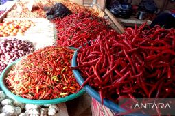Disperindag pastikan harga berbagai kebutuhan pokok di Ambon normal