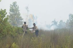 655 hektare lahan gambut terbakar di Palangka Raya Kalimantan Tengah