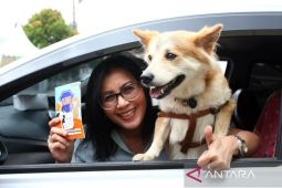 Vaksinasi Rabies Gratis