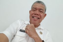 Pemprov sebut sorgum berpotensi  jadi pangan alternatif di Sumut
