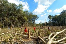 Waspada potensi asap dan karhutla di Kalsel