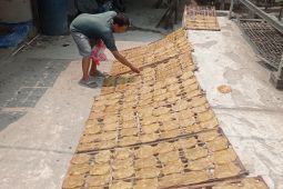 UMKM kerupuk di Lebak mampu tumbuhkan ekonomi warga