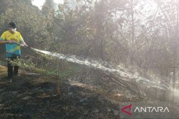 Bupati Bangka Tengah instruksikan masyarakat siaga karhutla