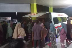 Dua warga Abdya digigit anjing liar