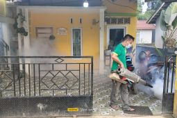 Dinkes KB Bengkayang Kalbar gencarkan pengendalian DBD