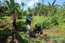 Polres bersama Pemkab Jayapura tanam sagu untuk jaga ketahanan pangan