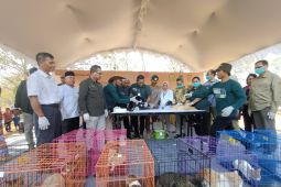 Balai Veteriner Banjarbaru siap wujudkan target bebas rabies 2030