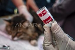Hari rabies sedunia 2023