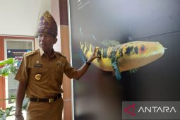 Pemprov Babel kembangkan 3.000 hektare padi sawah di Bangka Selatan
