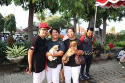 Pemkab Buleleng vaksinasi massal hewan pada peringatan Hari Rabies sedunia