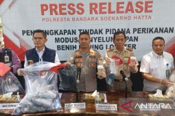 Polresta Soetta cegah penyelundupan 107 ribu benur tujuan Singapura