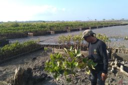 AIS Forum lahirkan riset inovatif teliti mangrove dan kondisi laut