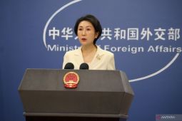 China tekankan penerapan prinsip "dua negara" jadi solusi atasi konflik Israel-Palestina