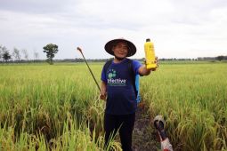 Pertanian organik berbasis EM kembalikan kesuburan tanah