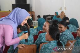 Kapasitas TP PKK desa di Tapsel terus ditingkatkan lewat pelatihan