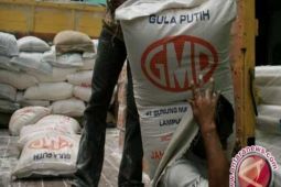 KPPU Kanwil I: Kenaikan harga gula konsumsi rawan dieksploitasi