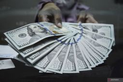 BI: Cadangan Devisa RI Januari 2025 naik jadi 156,1 miliar dolar AS