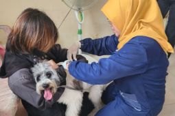 Masyarakat Kota Tangerang bisa ajukan permohonan kolektif vaksinasi rabies