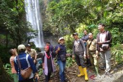 KPH Mukomuko tunggu putusan musnahkan sawit dalam hutan