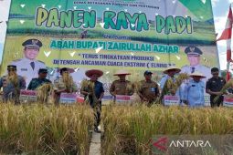 Tanah Bumbu bersiap jadi penyangga pangan di IKN