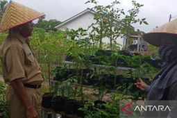 Pemkot Pangkalpinang mengoptimalkan P2L tekan inflasi