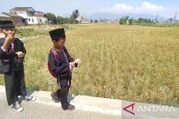 Jawa Barat distribusikan 15 juta liter air pada warga terdampak kekeringan