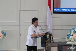 Pemprov Maluku lakukan transformasi tata kelola jabatan fungsional