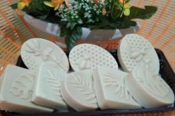 Dosen Unja olah daun jeruju jadi sabun kecantikan berkadar vitamin C dan antioksidan