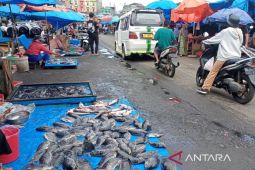 Realisasi PAD retribusi di tiga pasar Kota Bengkulu capai Rp80 juta
