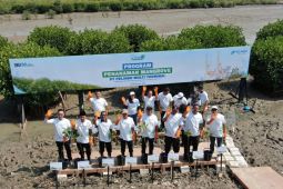 SPMT tanam mangrove, jaga ekosistem laut untuk Indonesia
