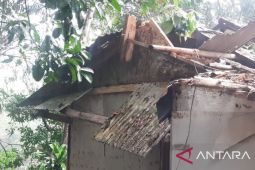 BPBD Sukabumi  imbau warga antisipasi terjadinya pohon tumbang