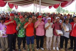 Ketua DPRD Lampung dampingi Ketua Komisi IV DPR RI panen raya padi MSP di Tulangbawang Barat