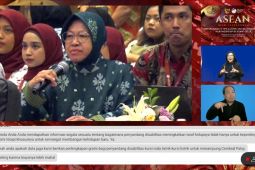 Mensos sebut pemda perlu bersinergi untuk data kebutuhan disabilitas