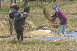 Perlindungan pada ruang pertanian untuk mewujudkan ketahanan pangan