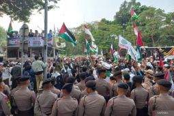 Warga Palestina yang tewas di Gaza jadi 1.078 orang