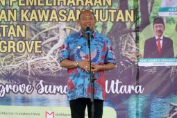 Plt Bupati Langkat : Perlu penanaman guna pemulihan ekosistim mangrove