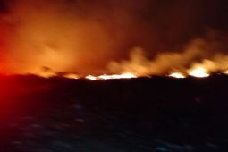 BPBD Denpasar: Hampir separuh TPA Suwung  terbakar