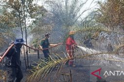 PT Timah kerahkan tim damkar untuk tangani karhutla Pulau Bangka