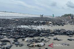 LSM minta Pemerintah Aceh serius tangani pencemaran batu bara di Aceh Barat