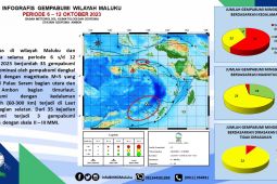 BMKG  catat 35 gempa terjadi di Maluku dalam sepekan