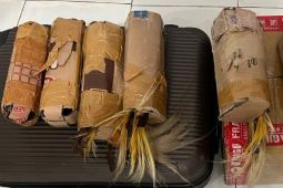 Penyelundupan Cenderawasih di Pelabuhan Jayapura digagalkan polisi