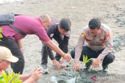 Polres Mukomuko melaksanakan penanaman bibit mangrove