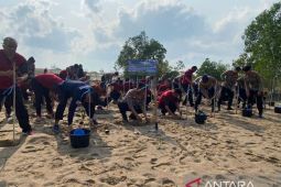 Polres Bangka tanam 1.000 bibit mangrove di pesisir